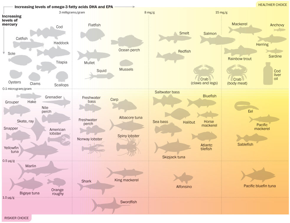 omega-3-to-mercury-in-fish.jpg