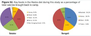 Hadza diet