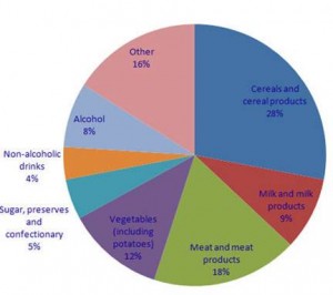 sources of calories in modern diet