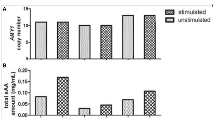 Representative of variations of AMY1 copy number, total and glycosylated sAA amount from three subjects. The AMY1 copy number (A) was estimated by qPCR. Total (B) and glycosylated (D) sAA amount of unstimulated (u) and stimulated (s) saliva were estimated by the method mentioned in Materials and Methods. A Western blot image (C) is served as representative.