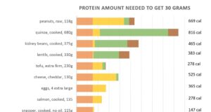 Protein and energy | Julianne's Paleo & Zone Nutrition